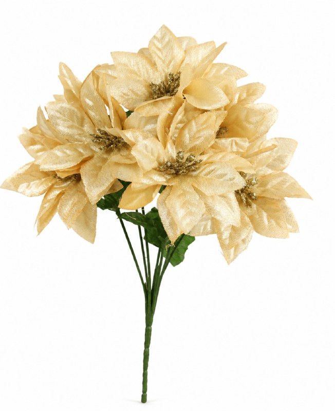 Picture of Poinsettia Bunch Champagne 33cm
